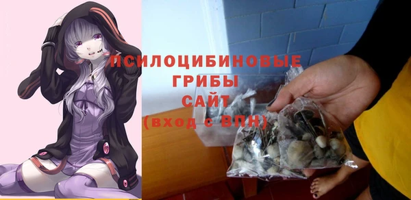 ГАЛЛЮЦИНОГЕННЫЕ ГРИБЫ Бронницы