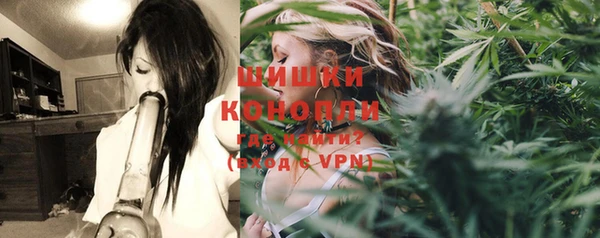 ГАЛЛЮЦИНОГЕННЫЕ ГРИБЫ Бронницы