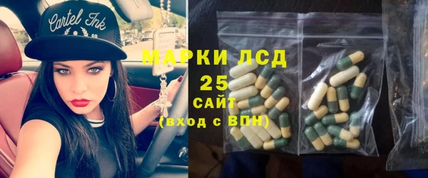 ГАЛЛЮЦИНОГЕННЫЕ ГРИБЫ Бронницы